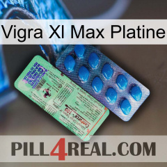 Vigra Xl Max Platinum new02